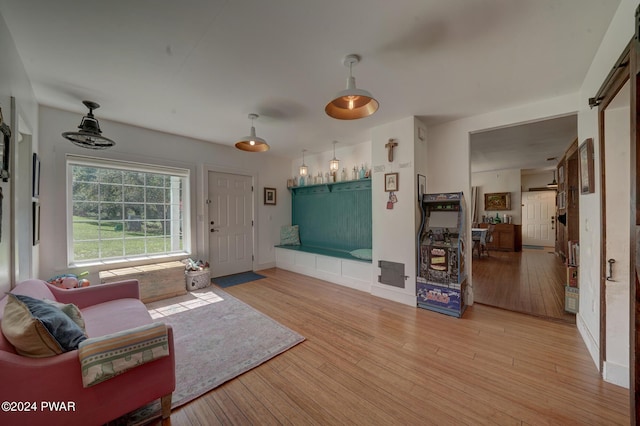 living room with a barn door and light hardwood / wood-style floors