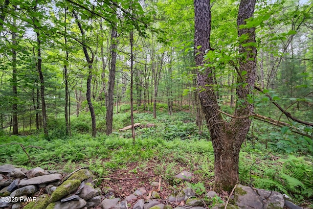 120 Milford Estates Dr, Milford, PA 18337 - view of tree filled area