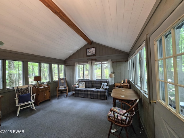 103 Blueridge Ln, Lords Valley, PA 18428 - photo 26