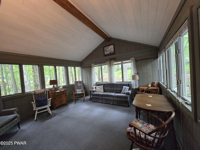 103 Blueridge Ln, Lords Valley, PA 18428 - photo 10