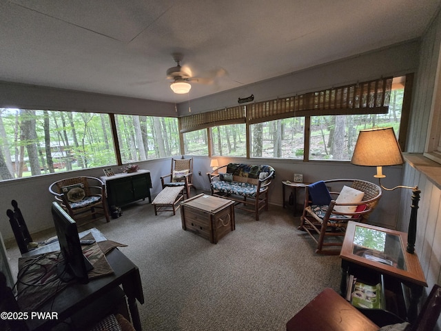 103 Blueridge Ln, Lords Valley, PA 18428 - photo 29