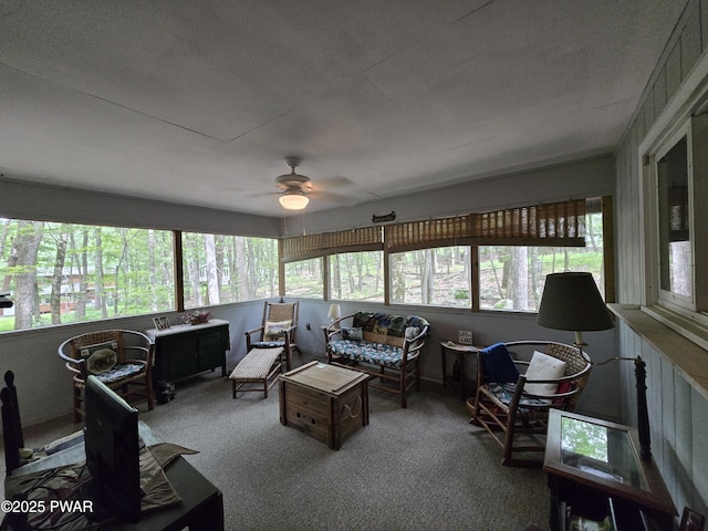 103 Blueridge Ln, Lords Valley, PA 18428 - photo 23