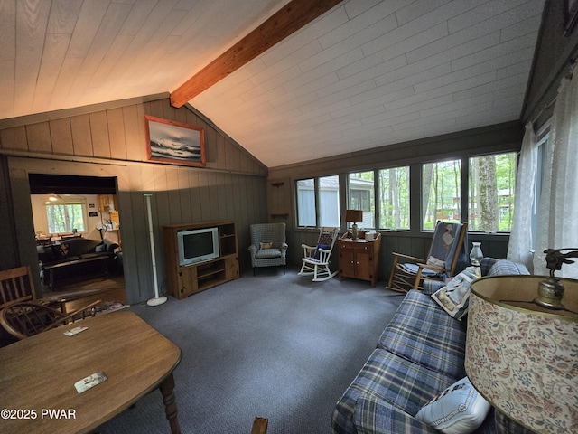 103 Blueridge Ln, Lords Valley, PA 18428 - photo 9