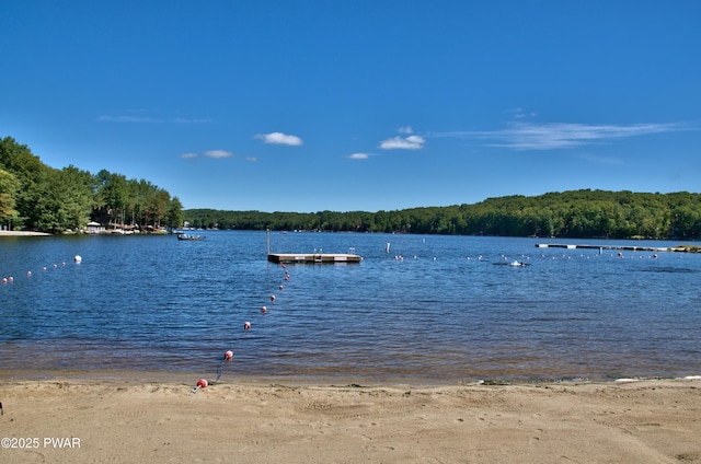 water view featuring a dock