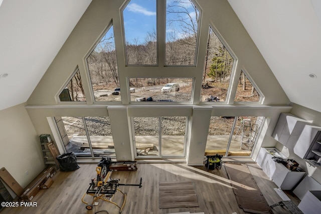 sunroom / solarium featuring lofted ceiling and a wealth of natural light