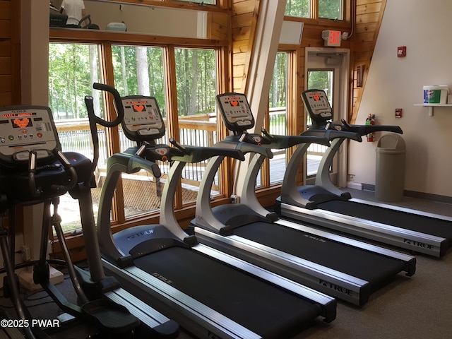 188 Forest Ridge Dr, Hawley, PA 18428 - view of workout area