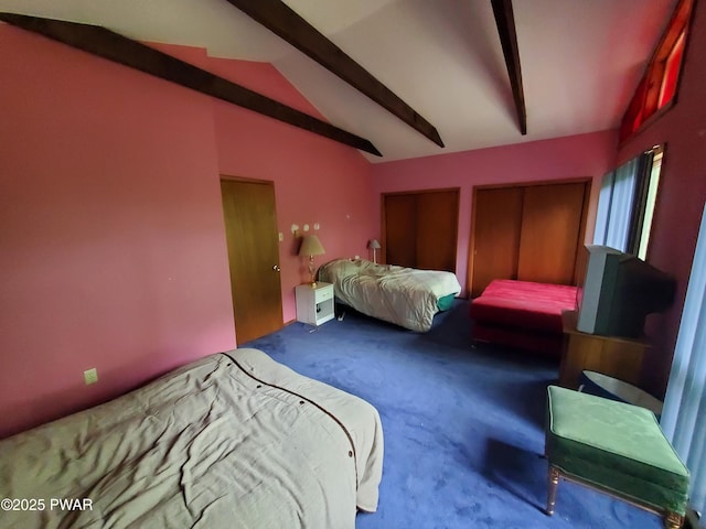 188 Forest Ridge Dr, Hawley, PA 18428 - carpeted bedroom featuring multiple closets