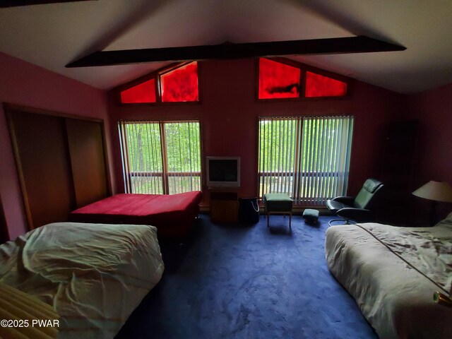 188 Forest Ridge Dr, Hawley, PA 18428 - carpeted bedroom with lofted ceiling, access to exterior, and ceiling fan