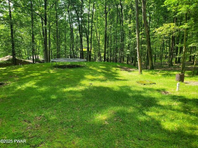 188 Forest Ridge Dr, Hawley, PA 18428 - view of green lawn with a trampoline