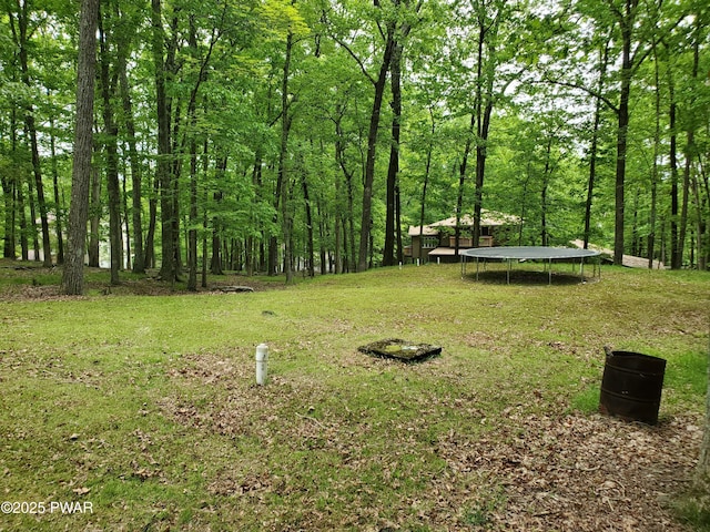 188 Forest Ridge Dr, Hawley, PA 18428 - view of green lawn featuring a trampoline and a view of trees