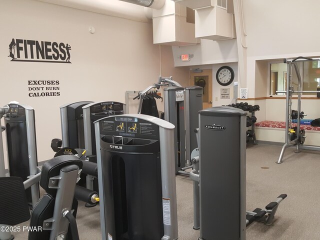 188 Forest Ridge Dr, Hawley, PA 18428 - workout area with carpet floors