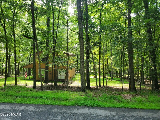 188 Forest Ridge Dr, Hawley, PA 18428 - view of tree filled area