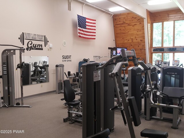 188 Forest Ridge Dr, Hawley, PA 18428 - gym featuring wooden walls