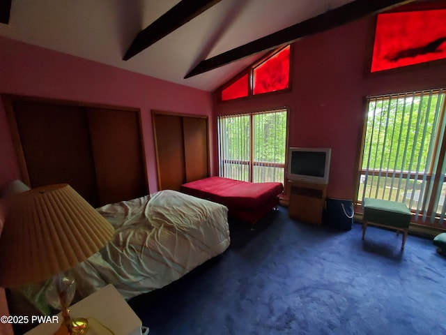 188 Forest Ridge Dr, Hawley, PA 18428 - carpeted bedroom with multiple windows, two closets, and access to exterior