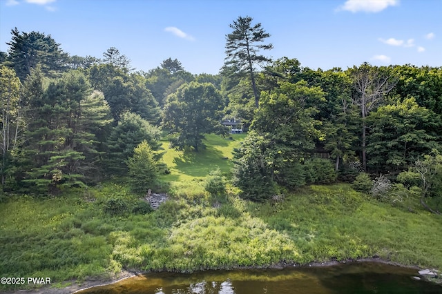 140 Culvert Hill Rd, Shohola, PA 18458 - photo 66