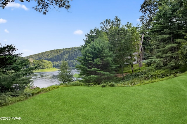 140 Culvert Hill Rd, Shohola, PA 18458 - photo 64