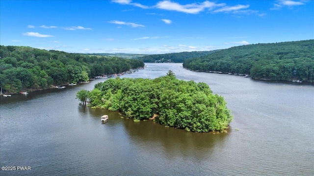 122 Waterfront Dr, Greentown, PA 18426 - water view featuring a heavily wooded area