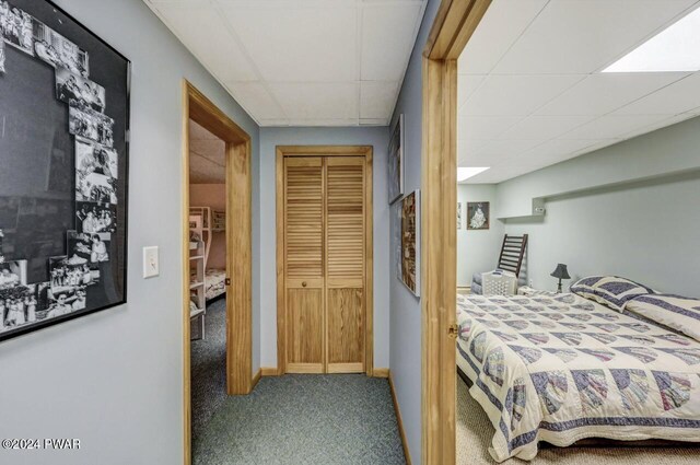 bedroom featuring carpet floors, a closet, and a paneled ceiling