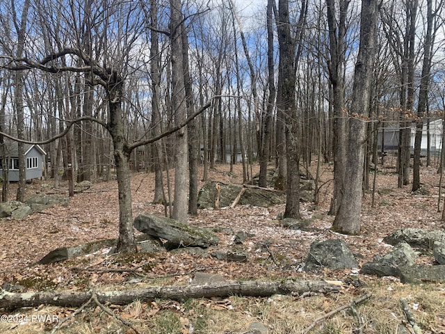 Listing photo 3 for LOT810 Tuckermans Ravine Ravine, Tafton PA 18464