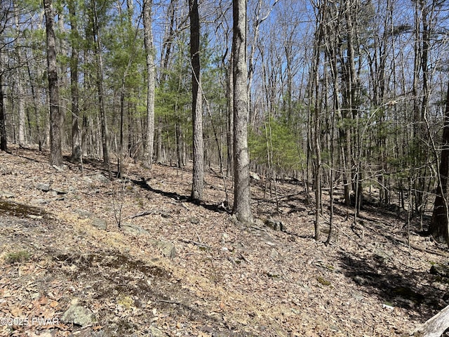 LOT81, 82 Heavenly Valley Dr, Tafton, PA 18464 - photo 5