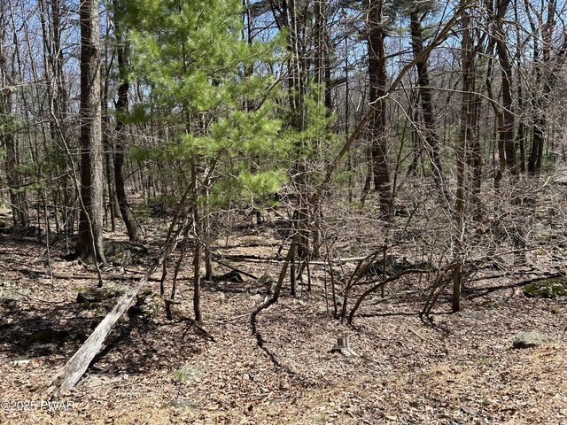 LOT81, 82 Heavenly Valley Dr, Tafton, PA 18464 - photo 3