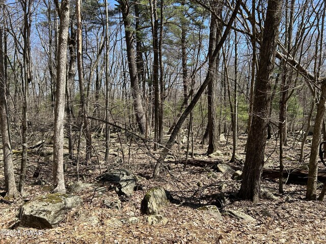 LOT81, 82 Heavenly Valley Dr, Tafton, PA 18464 - photo 8