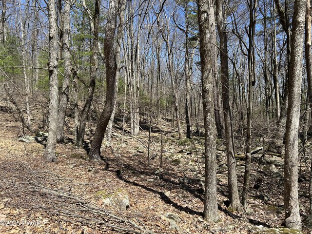 LOT81, 82 Heavenly Valley Dr, Tafton, PA 18464 - photo 6