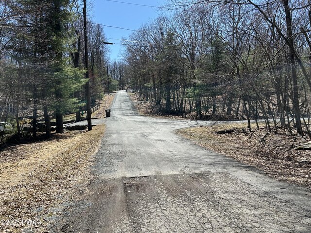 LOT81, 82 Heavenly Valley Dr, Tafton, PA 18464 - photo 9