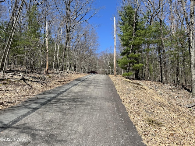 LOT81, 82 Heavenly Valley Dr, Tafton, PA 18464 - photo 10
