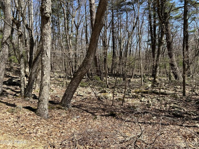 LOT81, 82 Heavenly Valley Dr, Tafton, PA 18464 - photo 7