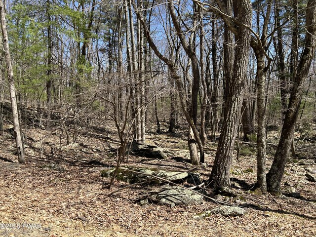 LOT81, 82 Heavenly Valley Dr, Tafton, PA 18464 - photo 4