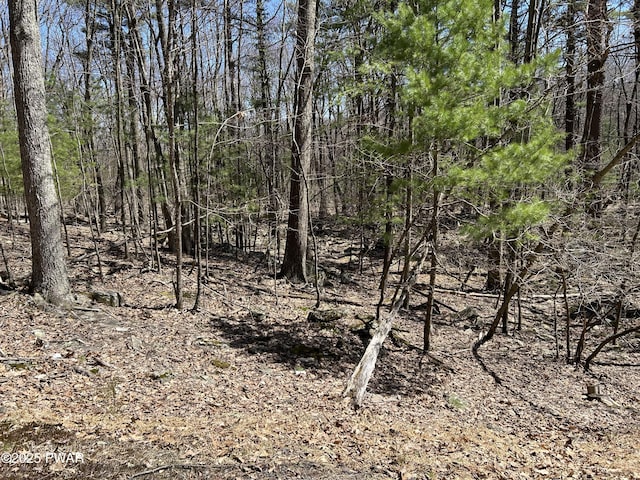 LOT81, 82 Heavenly Valley Dr, Tafton, PA 18464 - photo 2