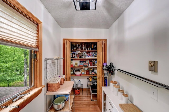105 Chestnut Ct, Lackawaxen, PA 18435 - view of storage area