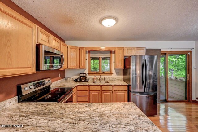 105 Chestnut Ct, Lackawaxen, PA 18435 - kitchen featuring stainless steel appliances, a sink, a textured ceiling, healthy amount of natural light, and light brown cabinets