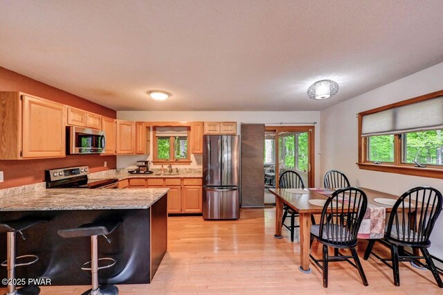 105 Chestnut Ct, Lackawaxen, PA 18435 - kitchen with stainless steel appliances, light brown cabinetry, a sink, a peninsula, and light wood-style flooring