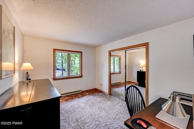 105 Chestnut Ct, Lackawaxen, PA 18435 - unfurnished office with baseboard heating, carpet, a textured ceiling, and baseboards