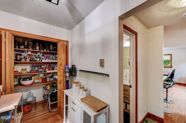 105 Chestnut Ct, Lackawaxen, PA 18435 - view of pantry