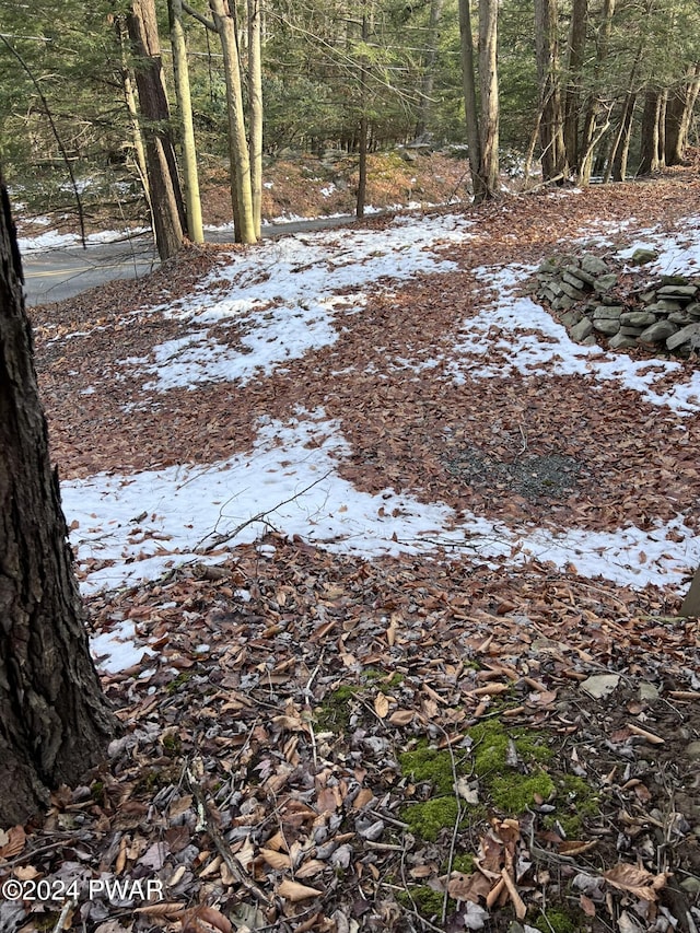 view of snowy landscape