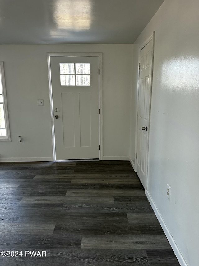 entrance foyer featuring dark wood-type flooring