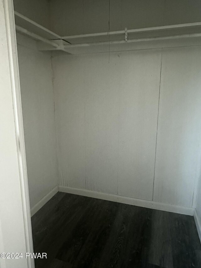 spacious closet with dark hardwood / wood-style floors