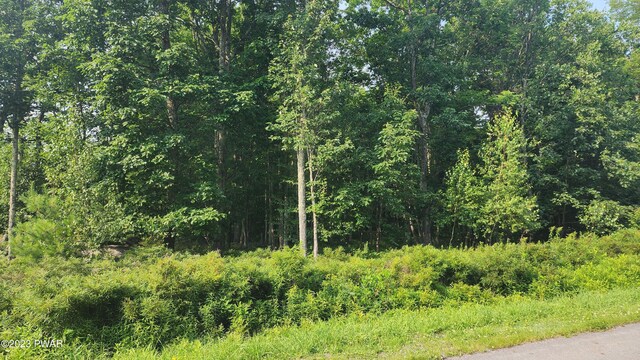 LOT27 Blue Heron Way, Hawley, PA 18428 - photo 4