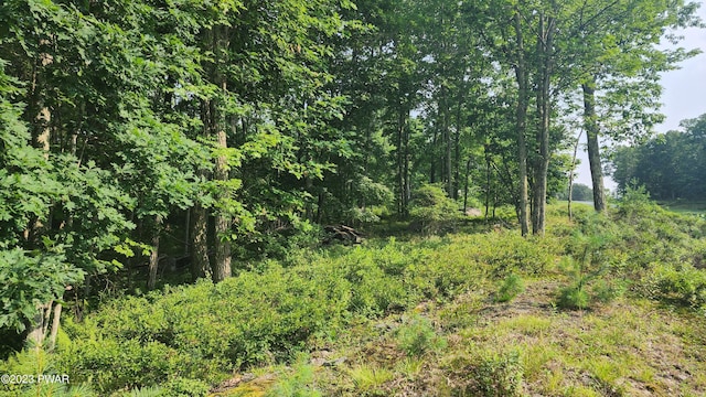 LOT27 Blue Heron Way, Hawley, PA 18428 - photo 11