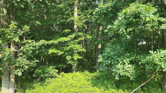 LOT27 Blue Heron Way, Hawley, PA 18428 - photo 10