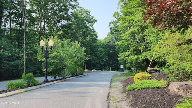 LOT27 Blue Heron Way, Hawley, PA 18428 - photo 3