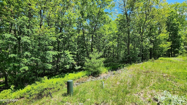 LOT27 Blue Heron Way, Hawley, PA 18428 - photo 5