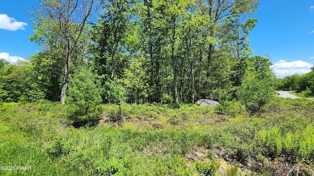 LOT27 Blue Heron Way, Hawley, PA 18428 - photo 6