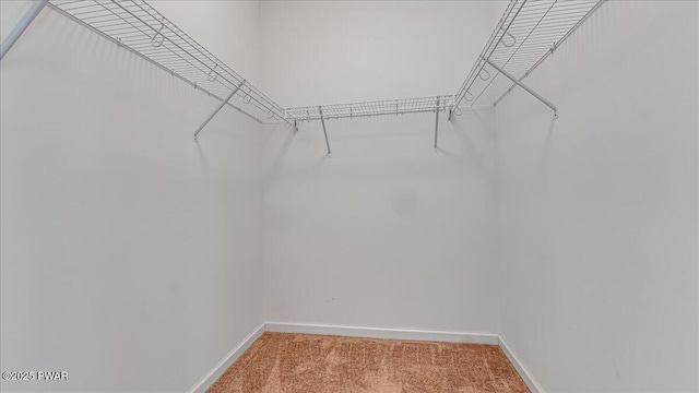 walk in closet featuring light carpet