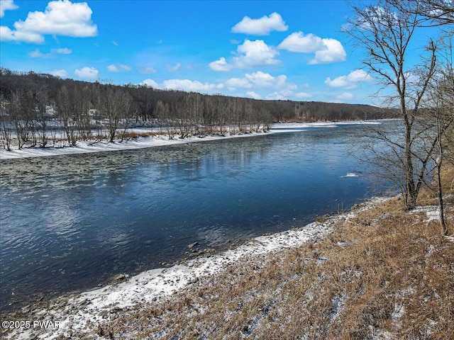 property view of water with a wooded view