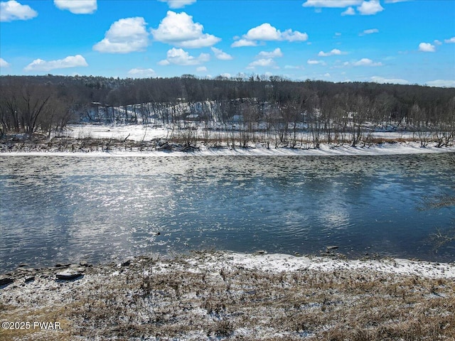 property view of water with a view of trees