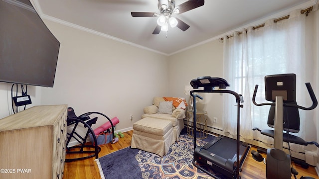 785 Milford Rd, Dingmans Ferry, PA 18328 - workout room featuring wood finished floors, ceiling fan, and ornamental molding